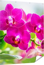 Gards Tuinposter Roze Orchidee Bloemen - 120x150 cm - Tuindoek - Tuindecoratie - Wanddecoratie buiten - Tuinschilderij