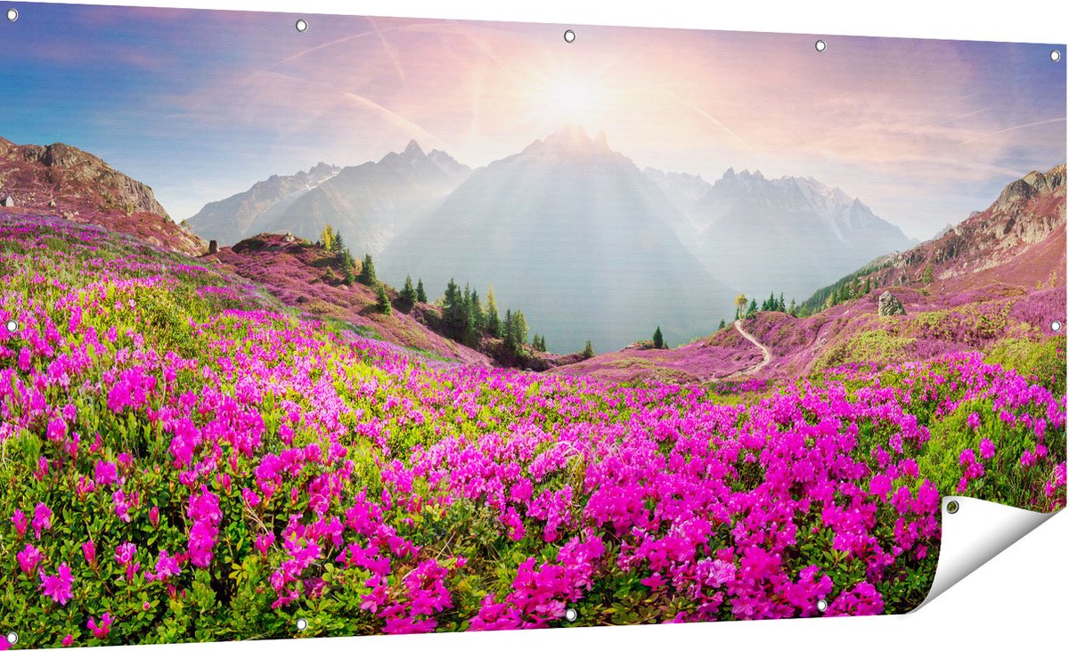 Gards Tuinposter Rhododendron Bloemenveld in de Alpen - 180x90 cm - Tuindoek - Tuindecoratie - Wanddecoratie buiten - Tuinschilderij Multikleur