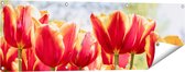 Gards Tuinposter Oranje Rode Tulpen - 120x40 cm - Tuindoek - Tuindecoratie - Wanddecoratie buiten - Tuinschilderij