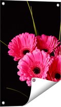 Gards Tuinposter Roze Gerbera Bloemen - 40x60 cm - Tuindoek - Tuindecoratie - Wanddecoratie buiten - Tuinschilderij