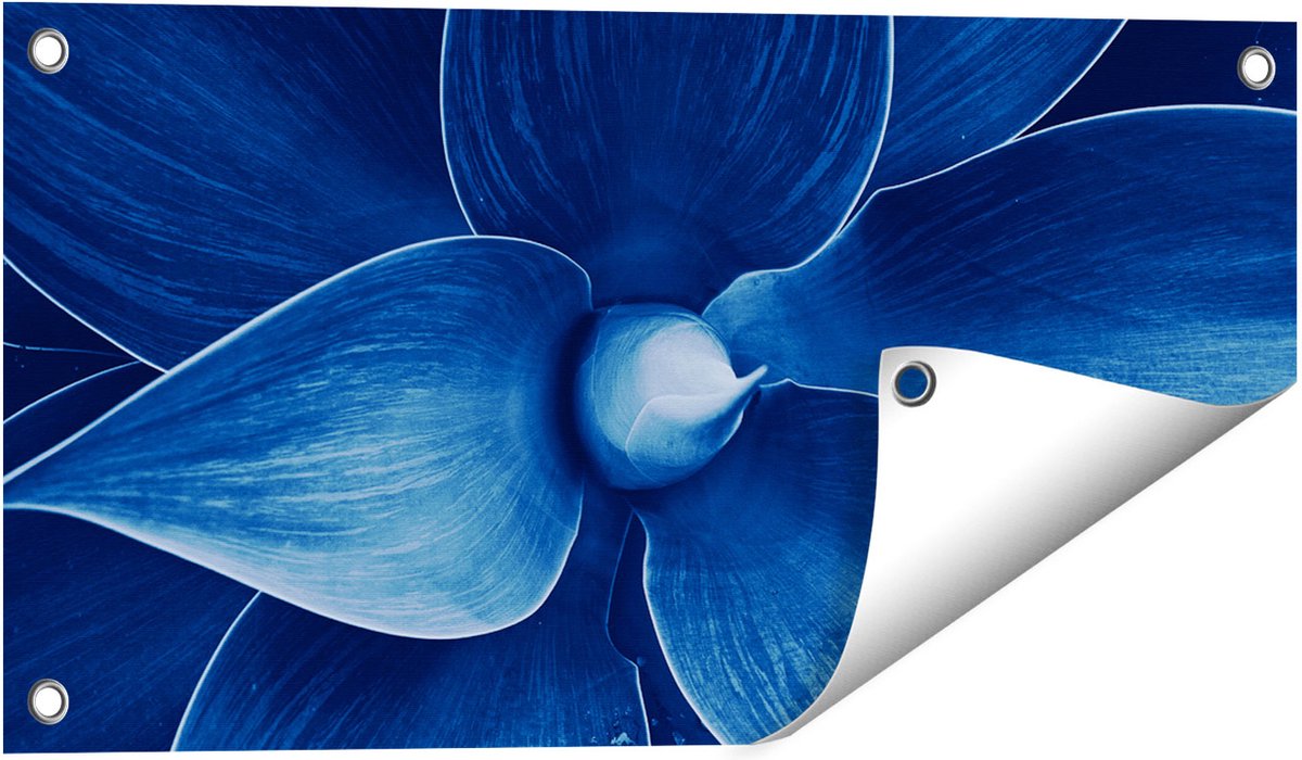 Gards Tuinposter Blauwe Agave Plant - Bloem - 60x30 cm - Tuindoek - Tuindecoratie - Wanddecoratie buiten - Tuinschilderij Multikleur