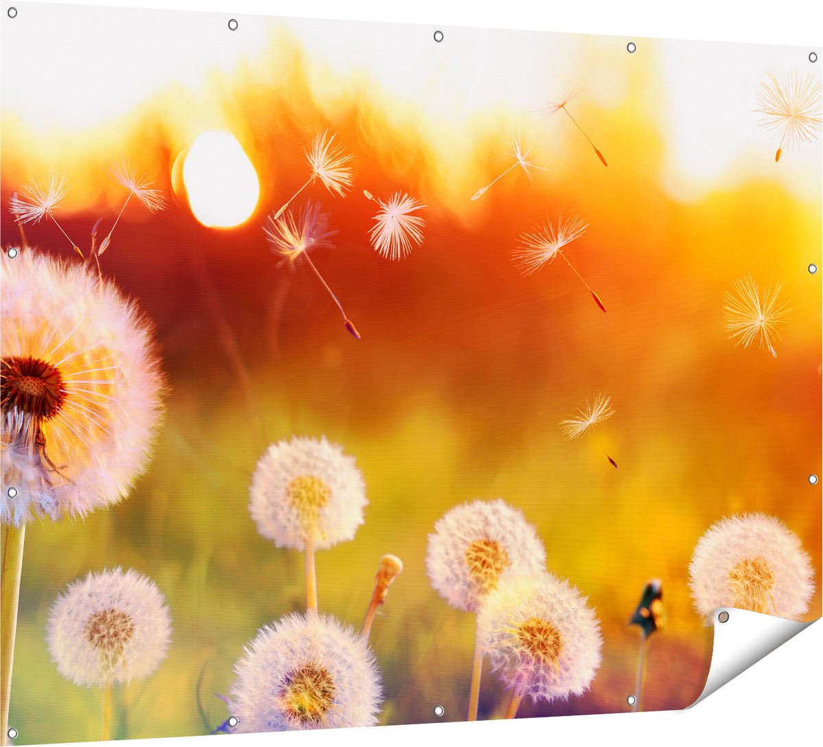 Gards Tuinposter Paardenbloemen tijdens Zonsondergang - 160x120 cm - Tuindoek - Tuindecoratie - Wanddecoratie buiten - Tuinschilderij Multikleur