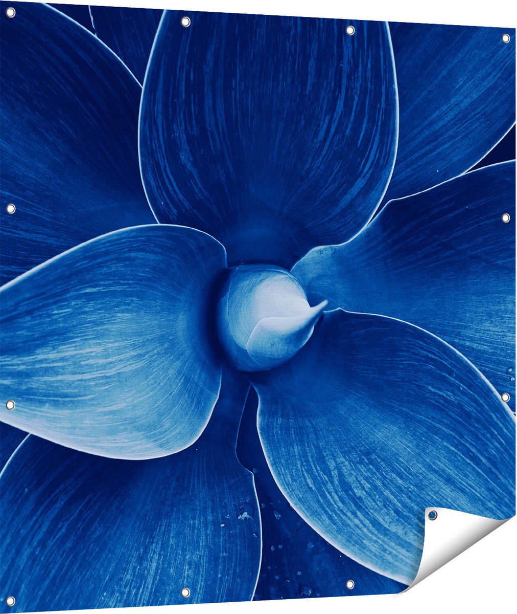 Gards Tuinposter Blauwe Agave Plant - Bloem - 110x110 cm - Tuindoek - Tuindecoratie - Wanddecoratie buiten - Tuinschilderij Multikleur