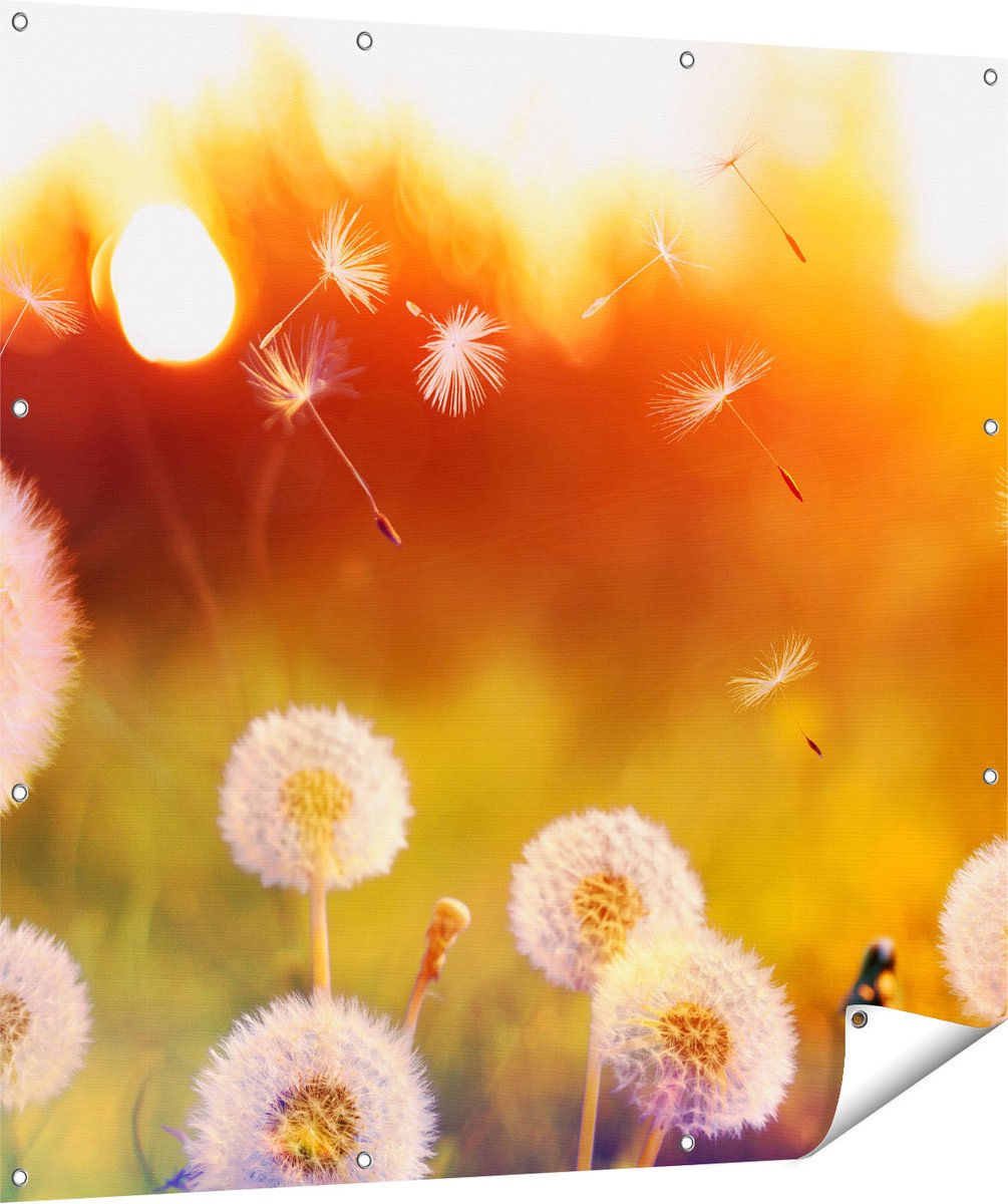Gards Tuinposter Paardenbloemen tijdens Zonsondergang - 120x120 cm - Tuindoek - Tuindecoratie - Wanddecoratie buiten - Tuinschilderij Multikleur