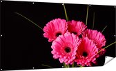 Gards Tuinposter Roze Gerbera Bloemen - 200x100 cm - Tuindoek - Tuindecoratie - Wanddecoratie buiten - Tuinschilderij