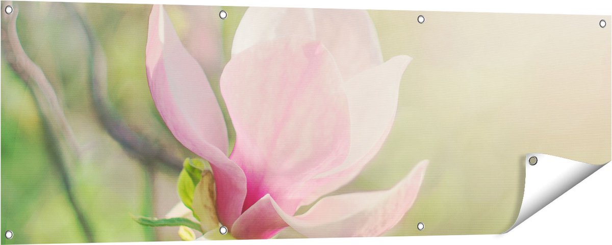 Gards Tuinposter Roze Magnolia Bloem - 150x50 cm - Tuindoek - Tuindecoratie - Wanddecoratie buiten - Tuinschilderij Multikleur