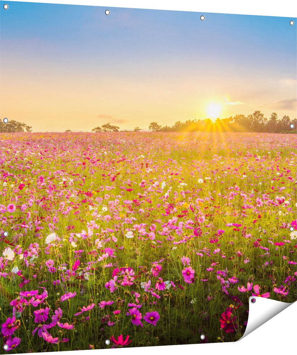 Gards Tuinposter Bloemenveld met Roze Kosmos - 120x120 cm - Tuindoek - Tuindecoratie - Wanddecoratie buiten - Tuinschilderij Multikleur