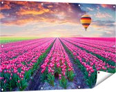 Gards Poster de jardin Champ de fleurs avec tulipes roses - Montgolfière - 120x80 cm - Toile de jardin - Décoration de jardin - Décoration murale extérieure - Peinture de jardin