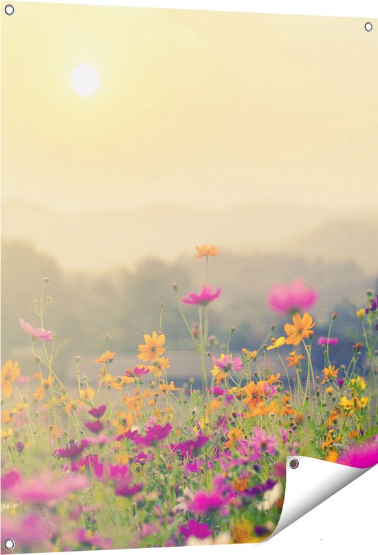 Gards Poster de jardin Champ de fleurs avec Kosmos - Coucher de soleil - 80x100 cm - Toile de jardin - Décoration de jardin - Décoration murale extérieure - Peinture de jardin