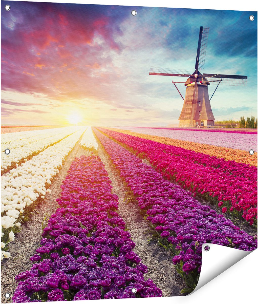 Gards Tuinposter Kleurrijke Tulpen Bloemenveld - Windmolen - 90x90 cm - Tuindoek - Tuindecoratie - Wanddecoratie buiten - Tuinschilderij Multikleur