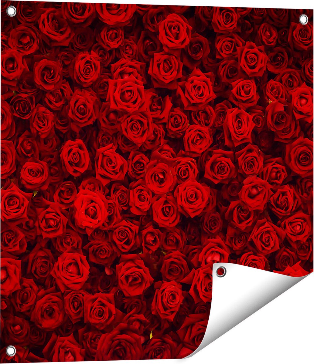 Gards Tuinposter Rode Rozen Achtergrond - 60x60 cm - Tuindoek - Tuindecoratie - Wanddecoratie buiten - Tuinschilderij Multikleur