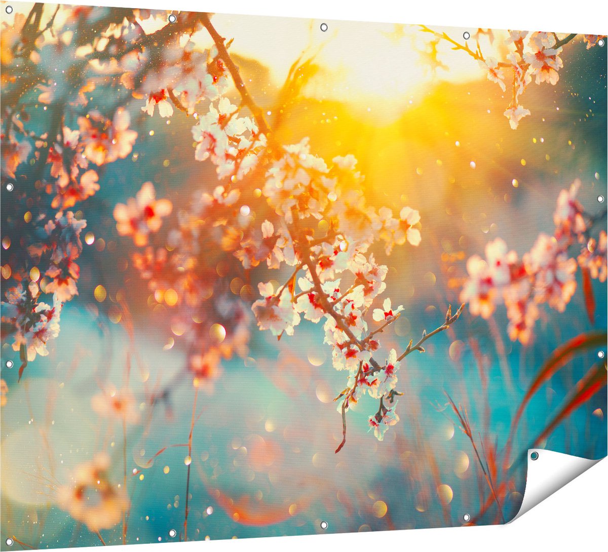 Gards Tuinposter Bloesemboom tijdens Zonsondergang - Bloem - 160x120 cm - Tuindoek - Tuindecoratie - Wanddecoratie buiten - Tuinschilderij Multikleur