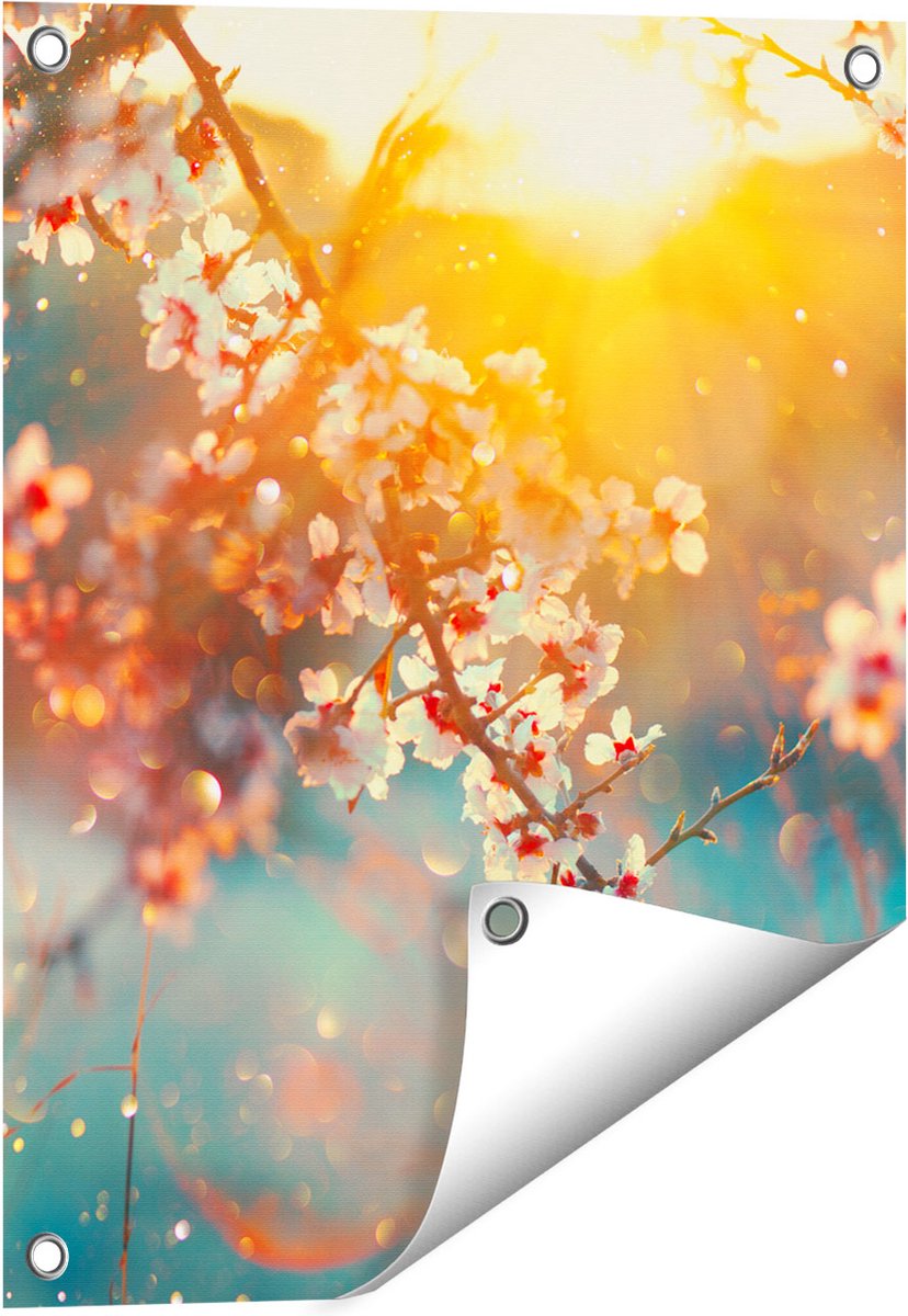 Gards Tuinposter Bloesemboom tijdens Zonsondergang - Bloem - 40x50 cm - Tuindoek - Tuindecoratie - Wanddecoratie buiten - Tuinschilderij Multikleur