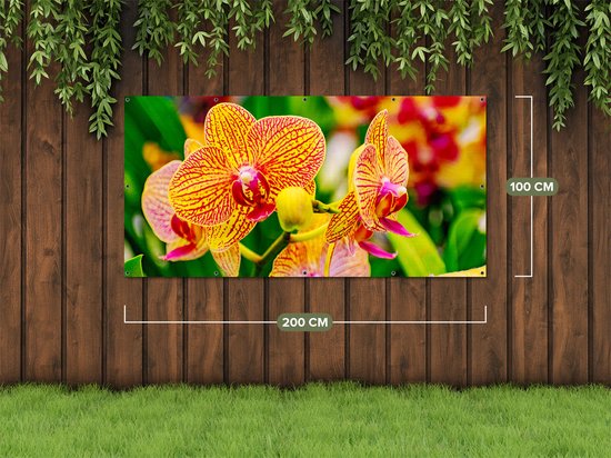 Gards Affiche de jardin Fleurs d'orchidées rouges jaunes - 200x100 cm - Toile jardin - Décoration de jardin - Décoration murale extérieur - Tableau jardin