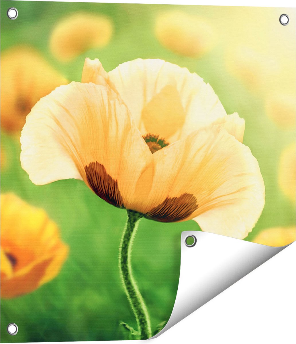 Gards Tuinposter Oranje Klaproos Bloemen - 50x50 cm - Tuindoek - Tuindecoratie - Wanddecoratie buiten - Tuinschilderij Multikleur