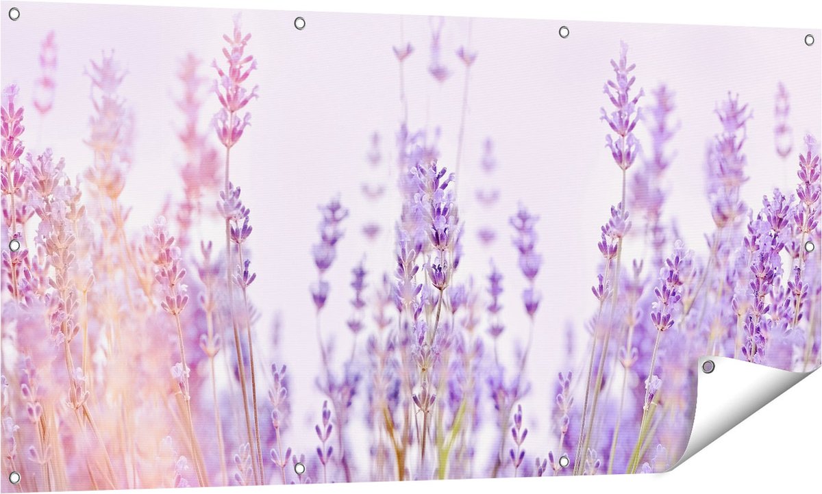 Gards Tuinposter Paarse Lavendel Bloemen - 140x70 cm - Tuindoek - Tuindecoratie - Wanddecoratie buiten - Tuinschilderij Multikleur