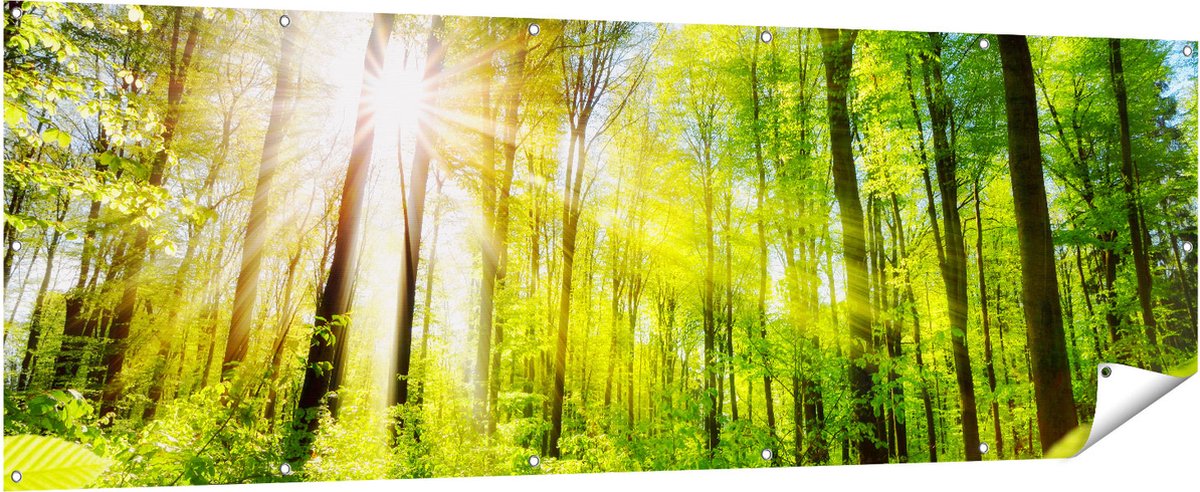Gards Tuinposter Weg Omringd met Bomen in het Bos - 210x70 cm - Tuindoek - Tuindecoratie - Wanddecoratie buiten - Tuinschilderij Multikleur