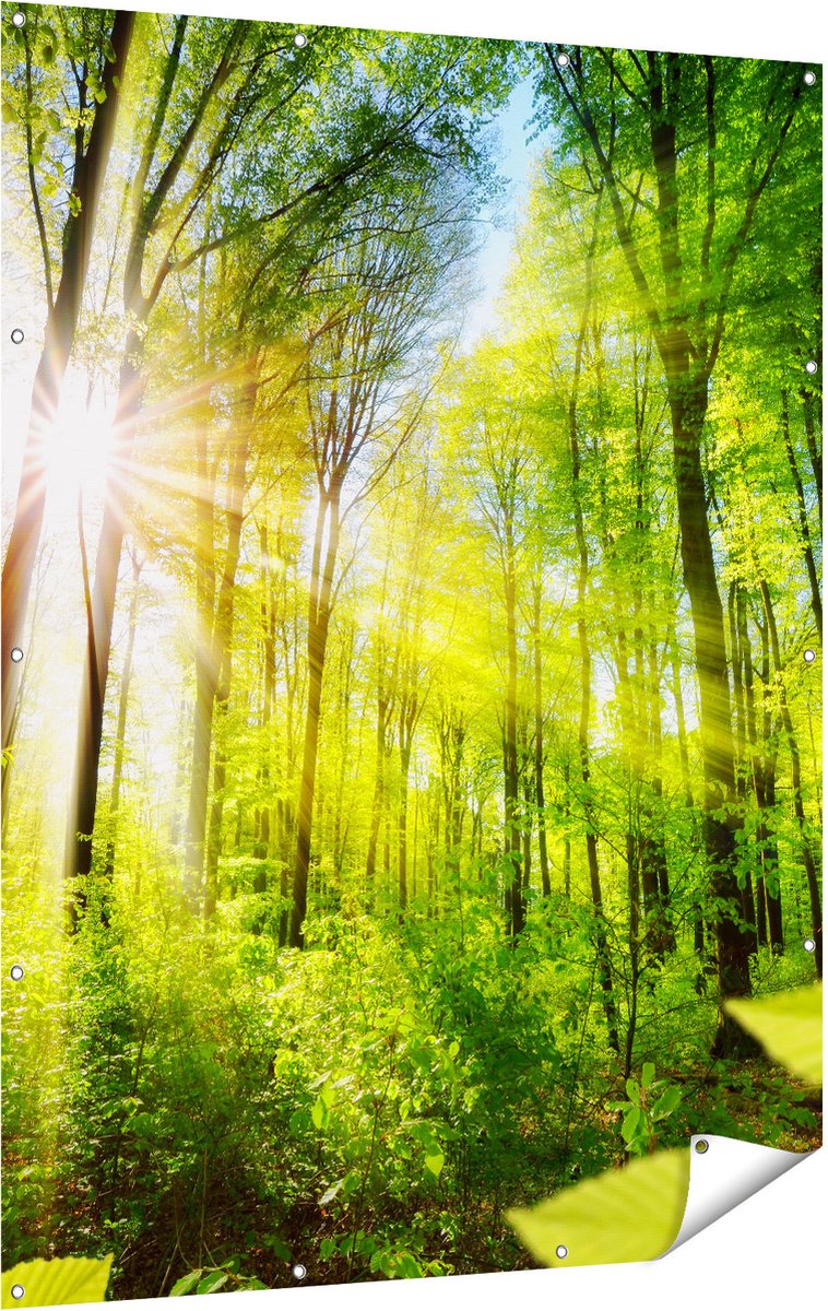 Gards Tuinposter Weg Omringd met Bomen in het Bos - 120x160 cm - Tuindoek - Tuindecoratie - Wanddecoratie buiten - Tuinschilderij Multikleur