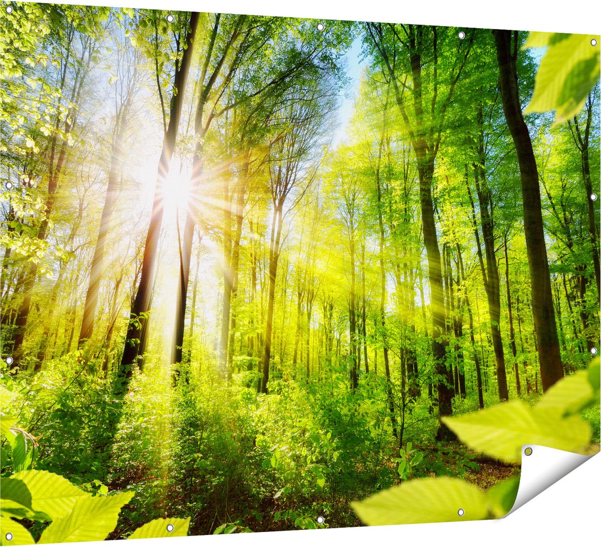 Gards Tuinposter Weg Omringd met Bomen in het Bos - 160x120 cm - Tuindoek - Tuindecoratie - Wanddecoratie buiten - Tuinschilderij Multikleur