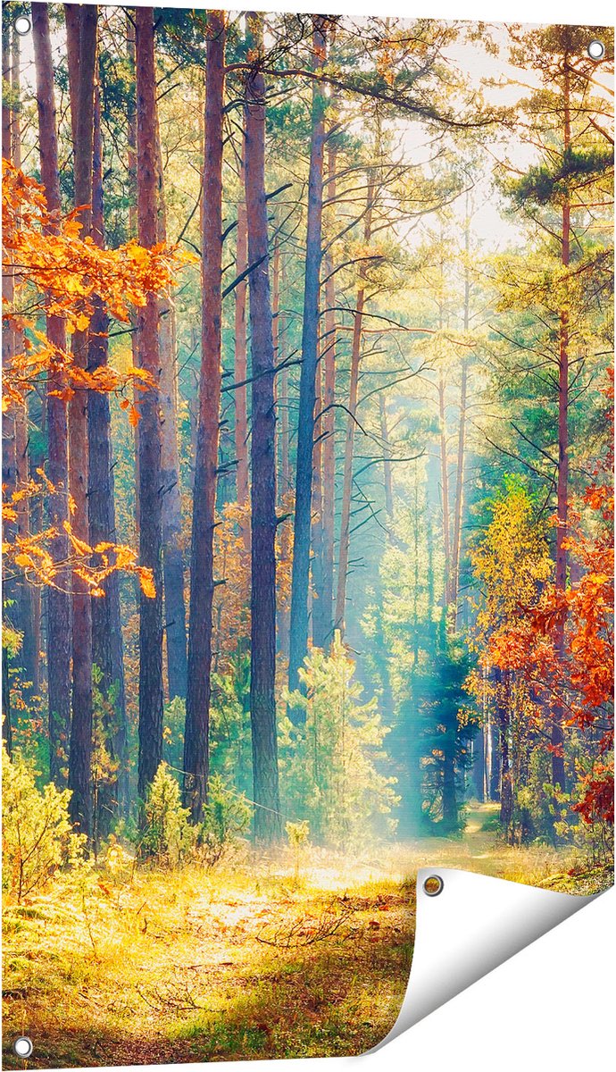 Gards Tuinposter Herfstbos met Zonneschijn - Kleur - 60x90 cm - Tuindoek - Tuindecoratie - Wanddecoratie buiten - Tuinschilderij Multikleur