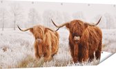 Affiche de jardin Gards Deux vaches Highlander écossaises dans le pré - 160x80 cm - Toile de jardin - Décoration de jardin - Décoration murale extérieur - Tableau de jardin