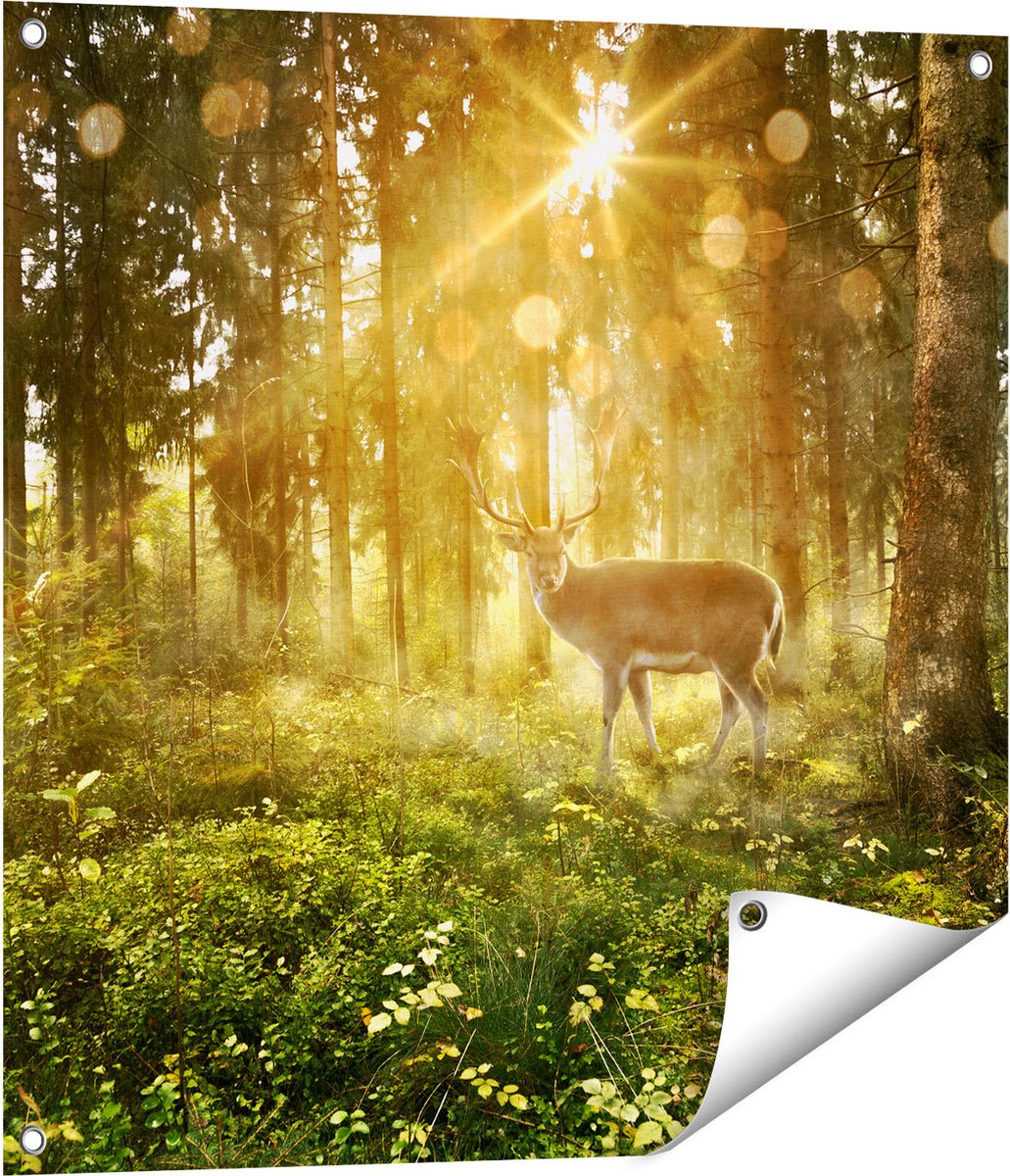 Gards Tuinposter Hert in Bos met Zon - 70x70 cm - Tuindoek - Tuindecoratie - Wanddecoratie buiten - Tuinschilderij Multikleur