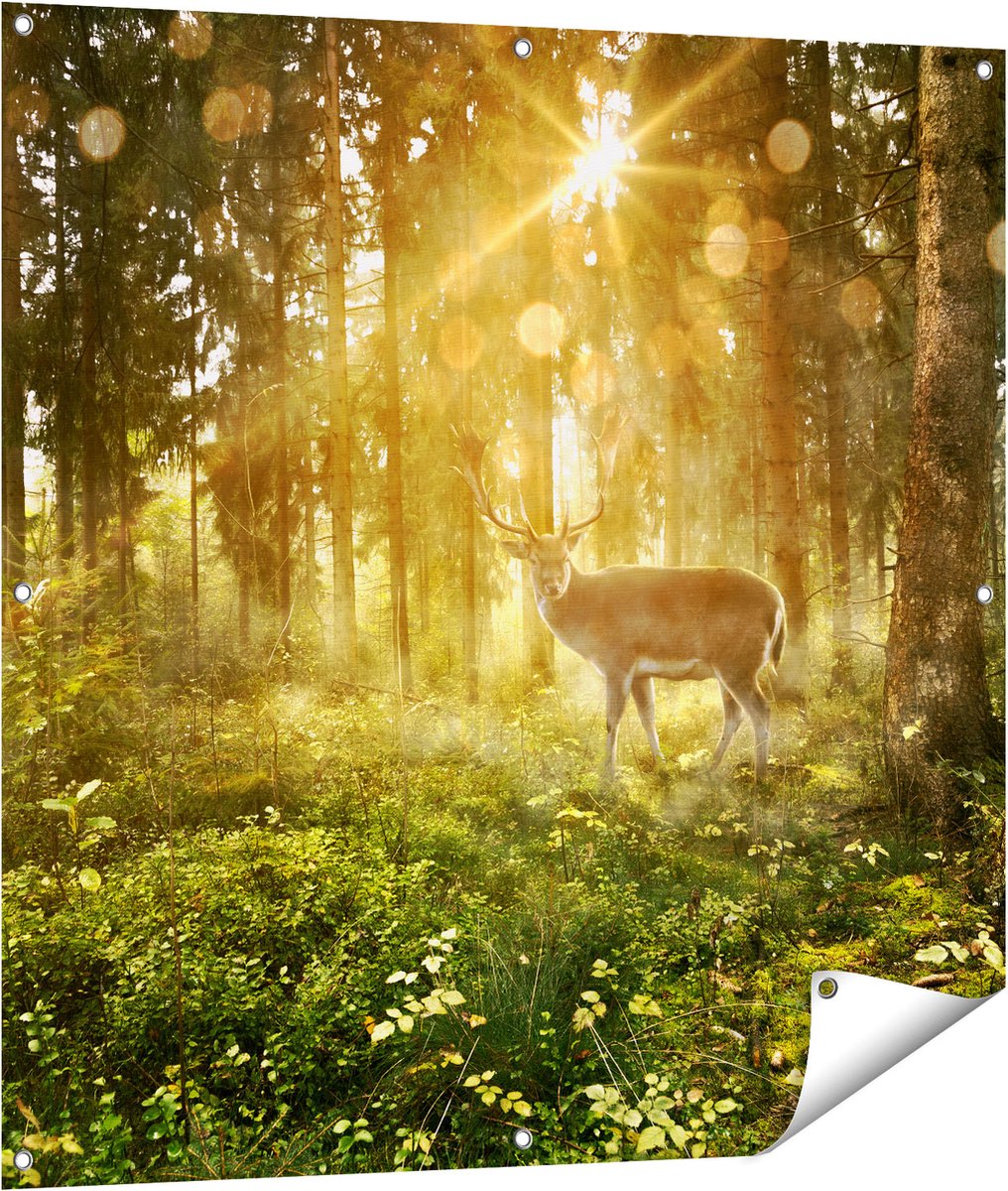 Gards Tuinposter Hert in Bos met Zon - 100x100 cm - Tuindoek - Tuindecoratie - Wanddecoratie buiten - Tuinschilderij Multikleur