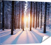 Gards Tuinposter Bos met Sneeuw tijdens de Zonsondergang - 120x90 cm - Tuindoek - Tuindecoratie - Wanddecoratie buiten - Tuinschilderij