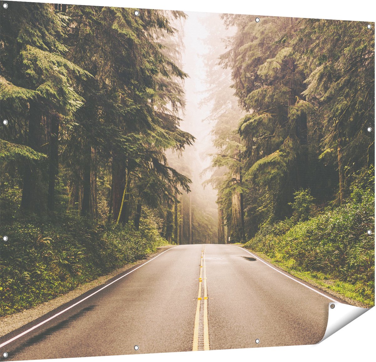 Gards Tuinposter Highway in Californië Omring met Bos - 150x120 cm - Tuindoek - Tuindecoratie - Wanddecoratie buiten - Tuinschilderij Multikleur