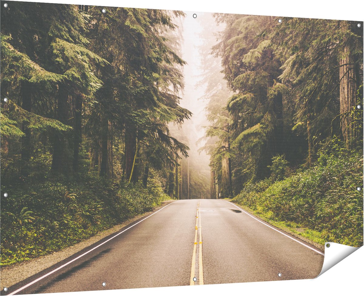 Gards Tuinposter Highway in Californië Omring met Bos - 180x120 cm - Tuindoek - Tuindecoratie - Wanddecoratie buiten - Tuinschilderij Multikleur