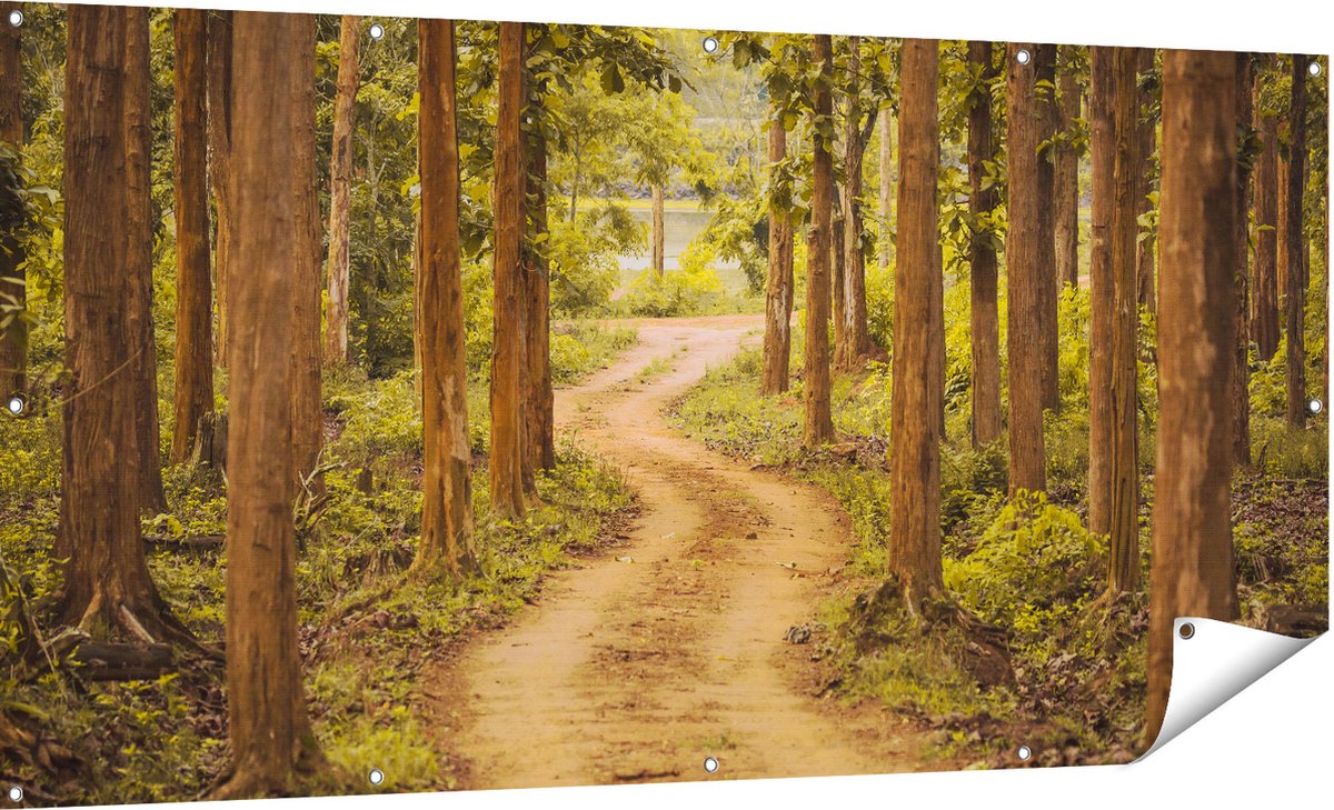 Gards Tuinposter Pad in het Bos met Bomen - 180x90 cm - Tuindoek - Tuindecoratie - Wanddecoratie buiten - Tuinschilderij Multikleur