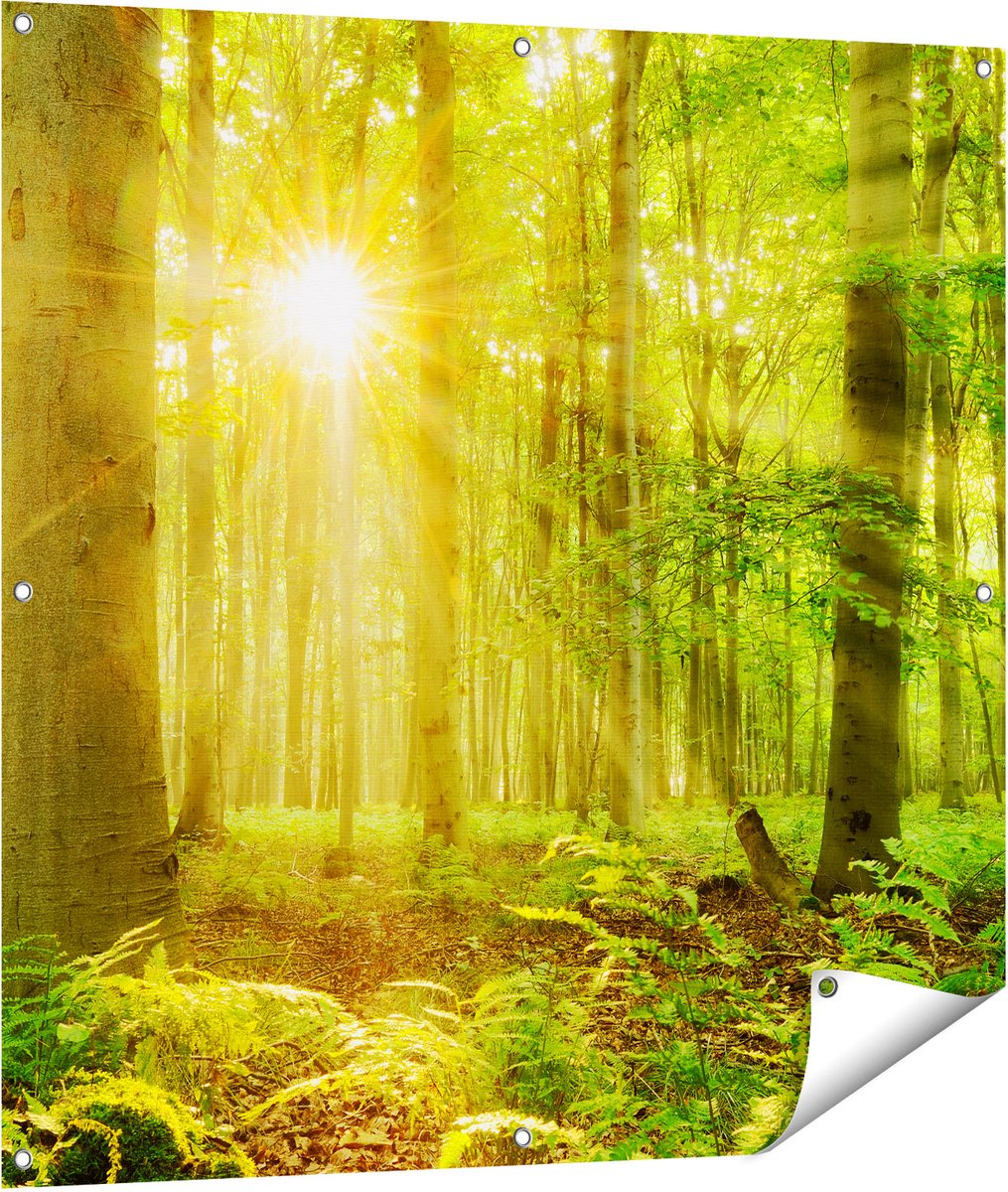 Tenture Murale XXL Paysage Forêt Nature - Poster En Tissu Polyester Pour Décoration