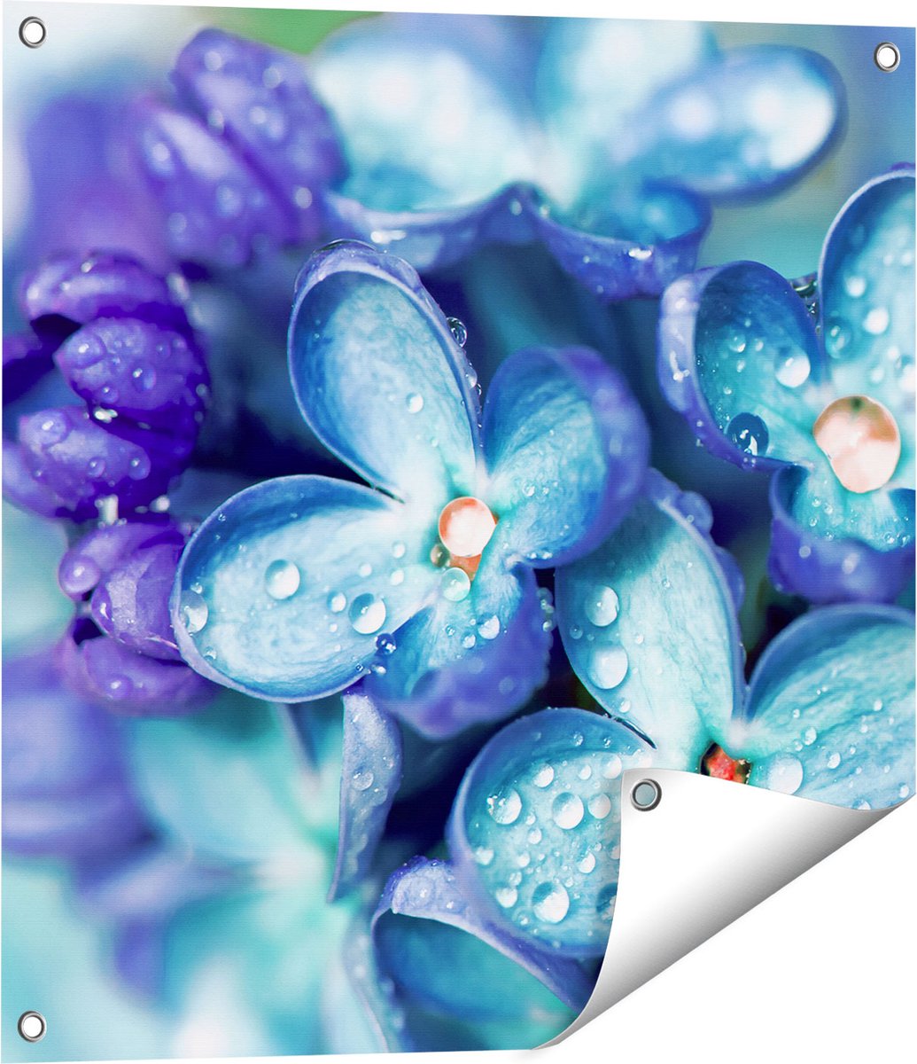 Gards Tuinposter Blauwe Lila Bloemen - Seringen - 60x60 cm - Tuindoek - Tuindecoratie - Wanddecoratie buiten - Tuinschilderij Multikleur