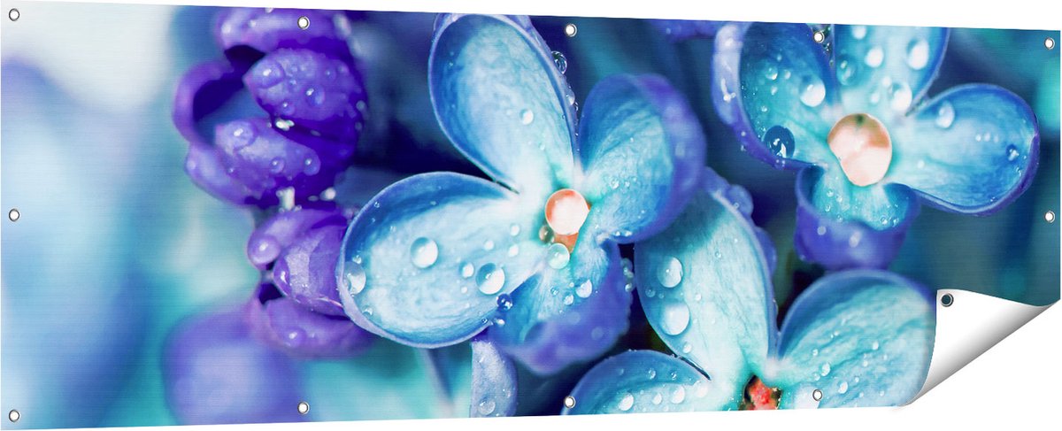 Gards Tuinposter Blauwe Lila Bloemen - Seringen - 180x60 cm - Tuindoek - Tuindecoratie - Wanddecoratie buiten - Tuinschilderij Multikleur
