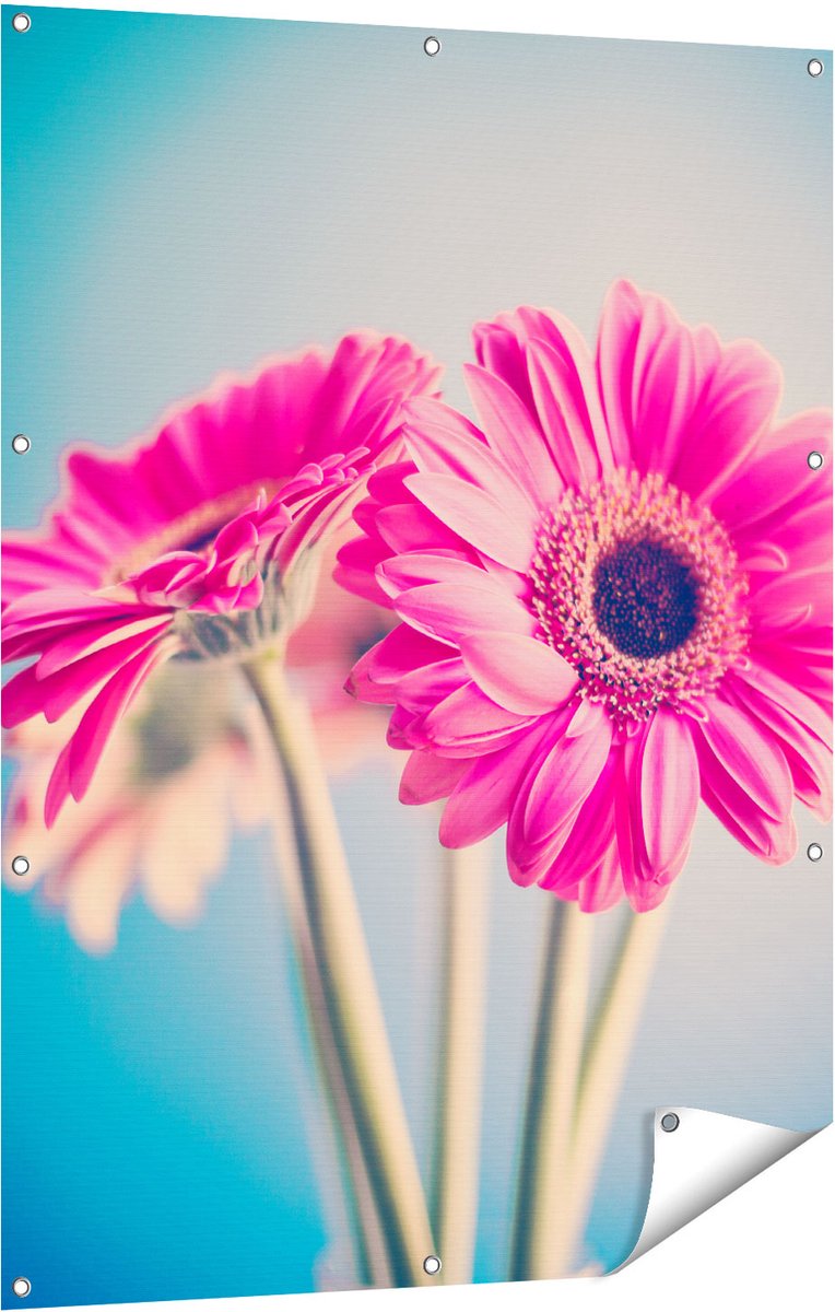 Gards Tuinposter Twee Roze Anjers - Bloemen - 90x120 cm - Tuindoek - Tuindecoratie - Wanddecoratie buiten - Tuinschilderij Multikleur