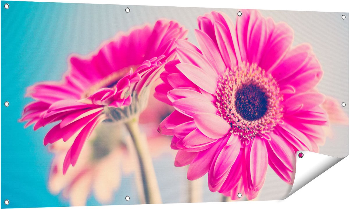 Gards Tuinposter Twee Roze Anjers - Bloemen - 140x70 cm - Tuindoek - Tuindecoratie - Wanddecoratie buiten - Tuinschilderij Multikleur