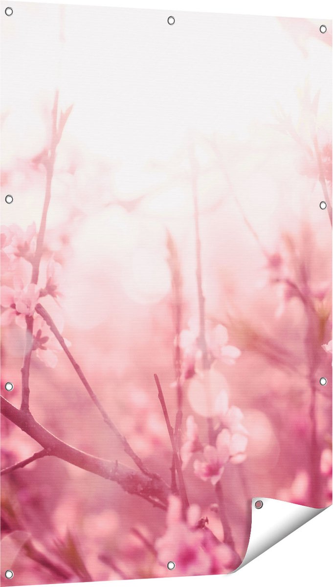 Gards Tuinposter Roze Bloesemboom met Zonneschijn - 80x120 cm - Tuindoek - Tuindecoratie - Wanddecoratie buiten - Tuinschilderij Multikleur