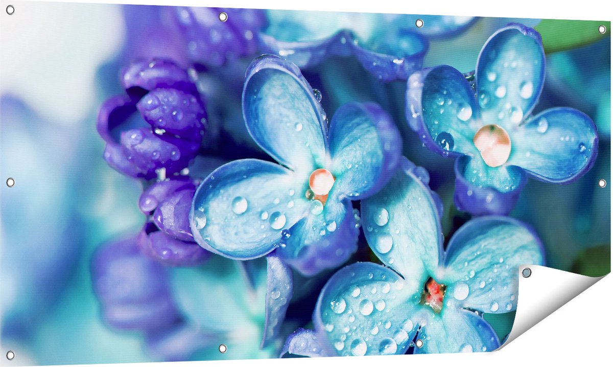 Gards Tuinposter Blauwe Lila Bloemen - Seringen - 140x70 cm - Tuindoek - Tuindecoratie - Wanddecoratie buiten - Tuinschilderij Multikleur