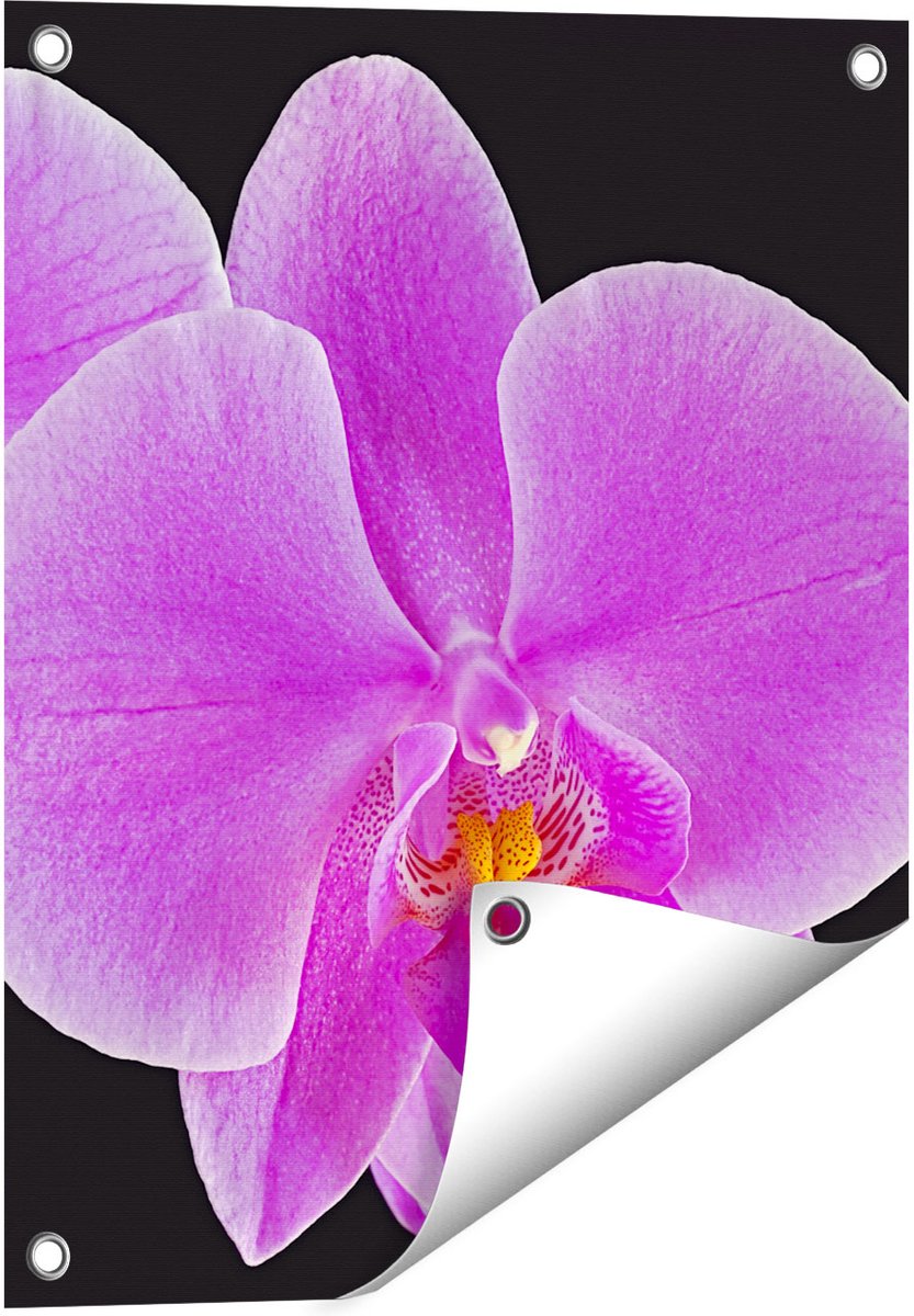 Gards Tuinposter Licht Paarse Orchidee - Bloem - 40x50 cm - Tuindoek - Tuindecoratie - Wanddecoratie buiten - Tuinschilderij Multikleur