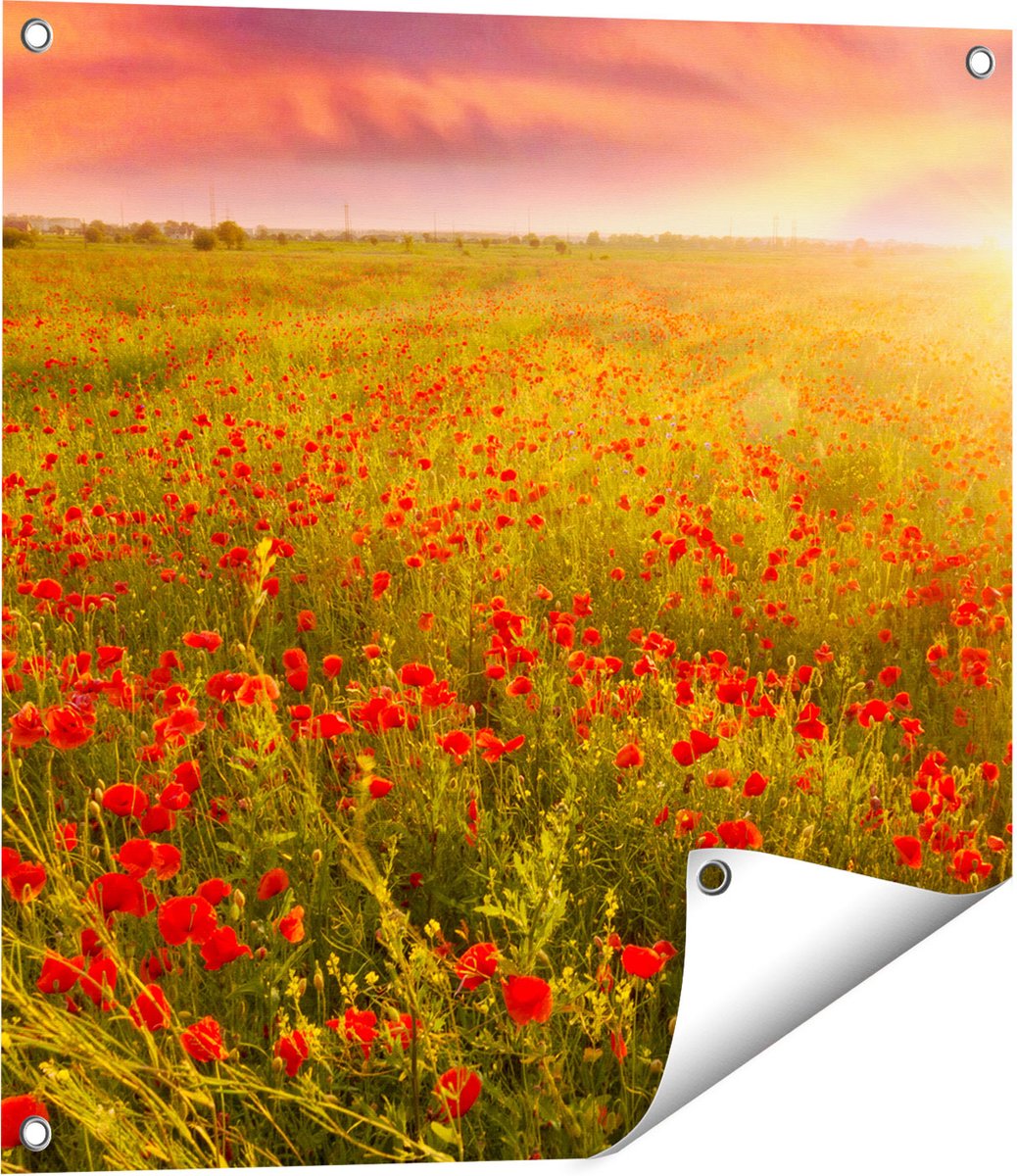 Gards Tuinposter Rode Klaproos Bloemenveld - Zonsondergang - 60x60 cm - Tuindoek - Tuindecoratie - Wanddecoratie buiten - Tuinschilderij Multikleur