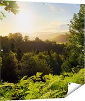 Gards Tuinposter Zonsondergang vanuit een Bos - 100x100 cm - Tuindoek - Tuindecoratie - Wanddecoratie buiten - Tuinschilderij