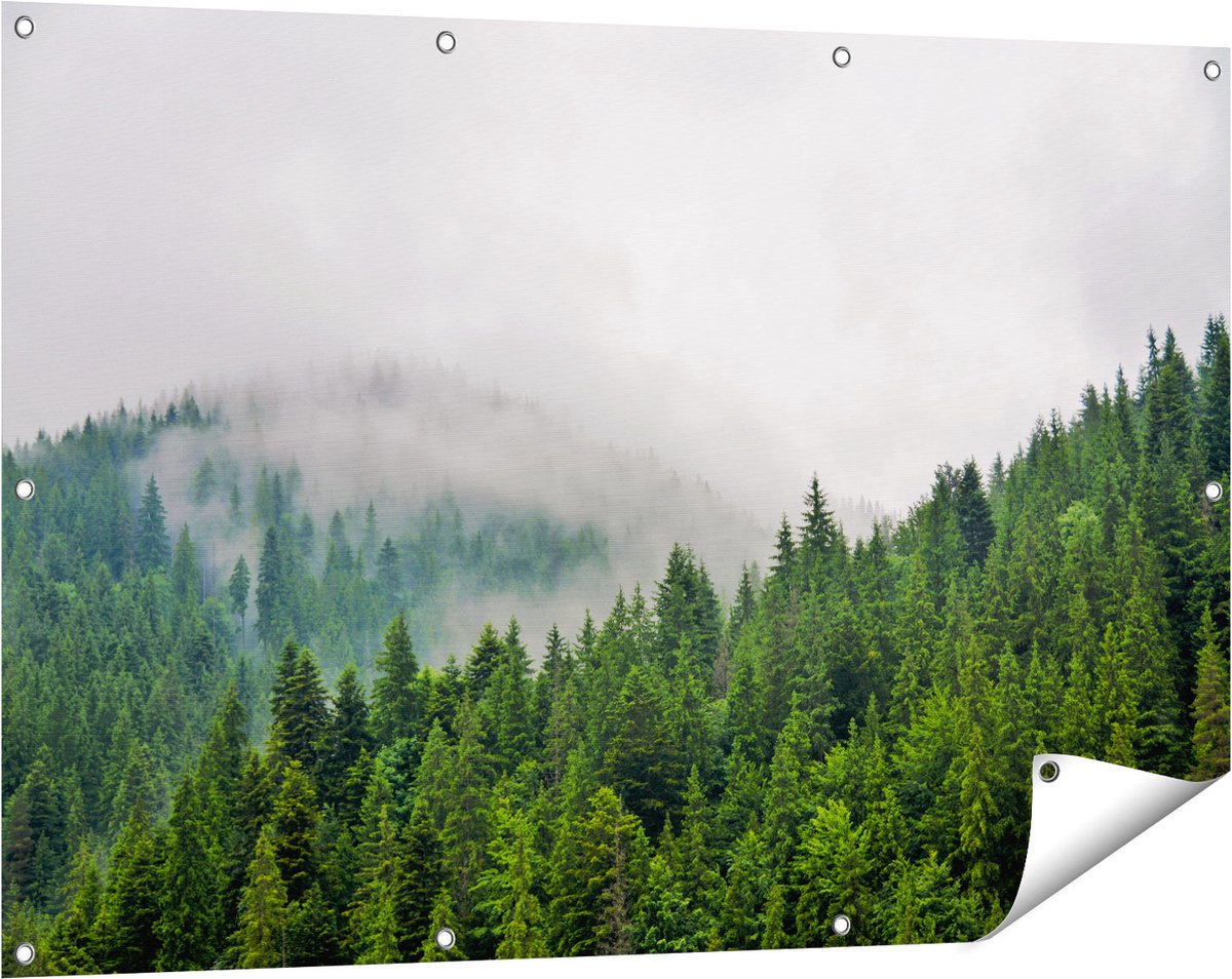 Gards Tuinposter Groen Bos met Bomen tijdens de Mist - 120x80 cm - Tuindoek - Tuindecoratie - Wanddecoratie buiten - Tuinschilderij Multikleur