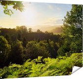 Gards Tuinposter Zonsondergang vanuit een Bos - 150x120 cm - Tuindoek - Tuindecoratie - Wanddecoratie buiten - Tuinschilderij