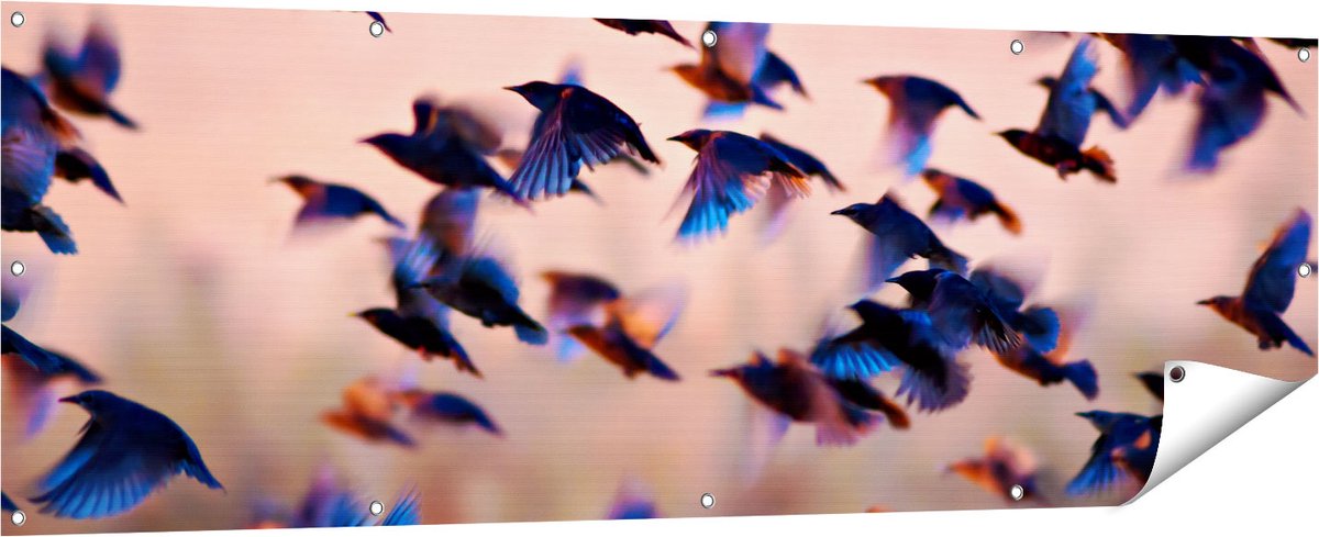 Gards Tuinposter Groep Vliegende Blauwe Spreeuw Vogels - 180x60 cm - Tuindoek - Tuindecoratie - Wanddecoratie buiten - Tuinschilderij Multikleur