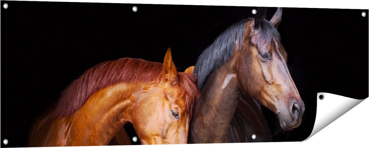 Gards Tuinposter Twee Bruine Paarden Koppel - Liefde - 150x50 cm - Tuindoek - Tuindecoratie - Wanddecoratie buiten - Tuinschilderij Multikleur