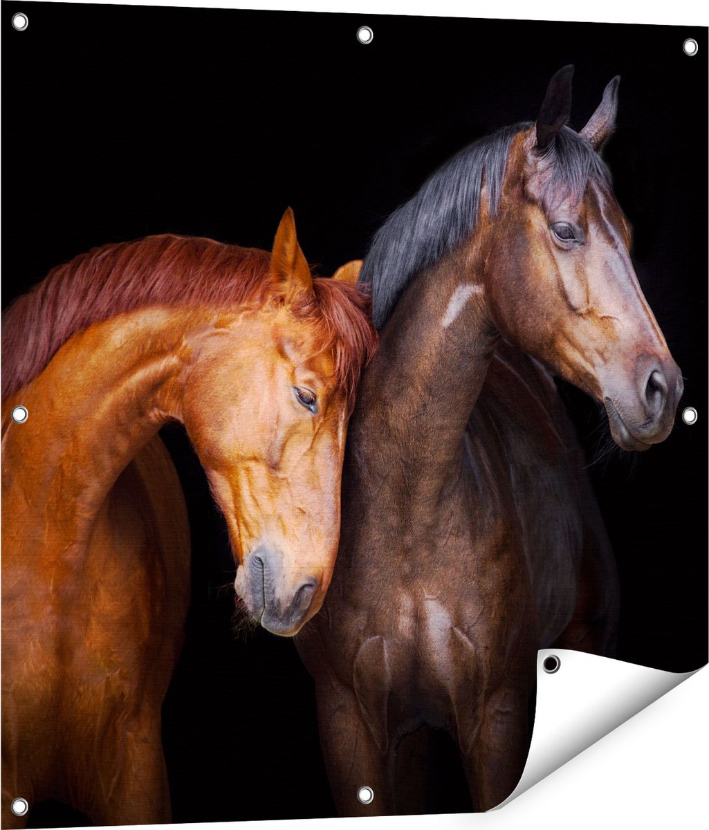 Gards Tuinposter Twee Bruine Paarden Koppel - Liefde - 80x80 cm - Tuindoek - Tuindecoratie - Wanddecoratie buiten - Tuinschilderij Multikleur