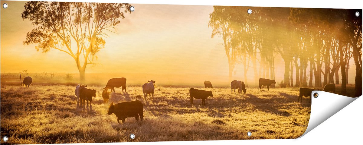 Gards Tuinposter Kudde Koeien in de Wei met Zonsopkomst - 150x50 cm - Tuindoek - Tuindecoratie - Wanddecoratie buiten - Tuinschilderij Multikleur
