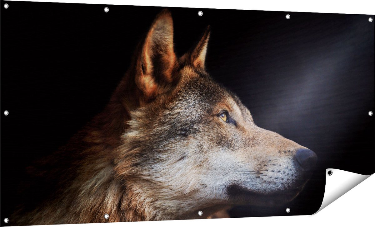 Gards Tuinposter Wolvenkop met een Zonnestraal - Wolf - 160x80 cm - Tuindoek - Tuindecoratie - Wanddecoratie buiten - Tuinschilderij Multikleur