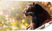 Gards Tuinposter Zwarte Panter vanaf de Zijkant - 160x80 cm - Tuindoek - Tuindecoratie - Wanddecoratie buiten - Tuinschilderij