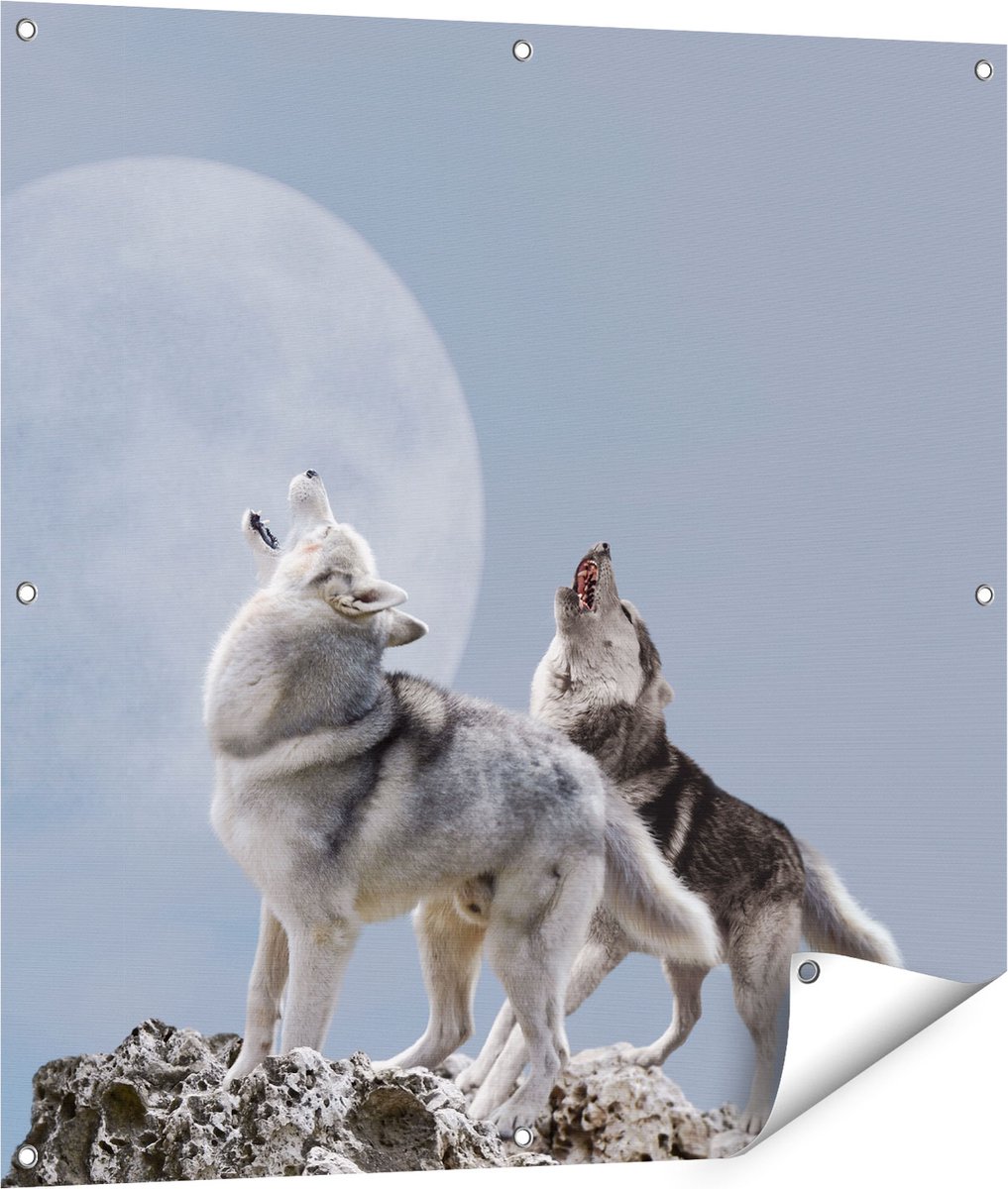 Gards Tuinposter Twee Wolven Die Huilen tijdens Volle Maan - 90x90 cm - Tuindoek - Tuindecoratie - Wanddecoratie buiten - Tuinschilderij Multikleur